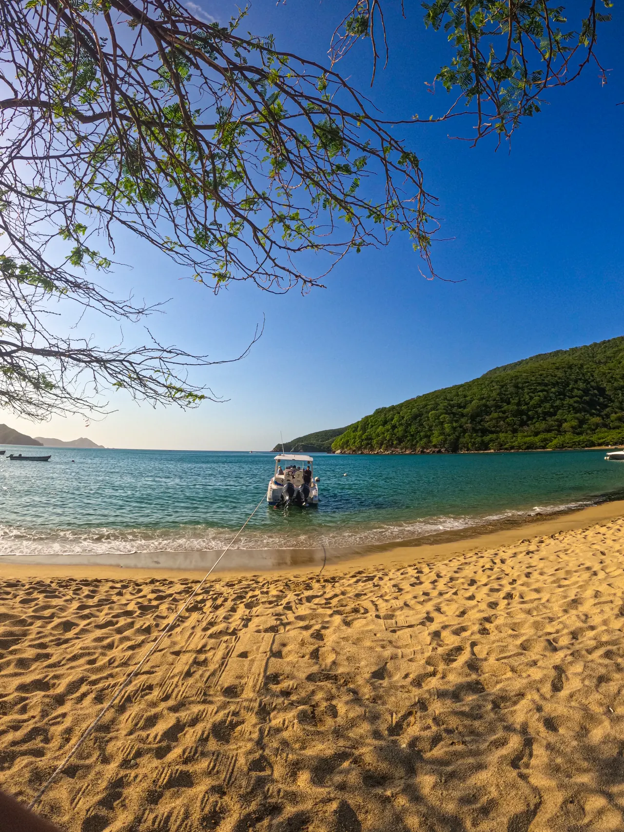 Bahía Concha Beach beneath the branches, with a boat in the water.