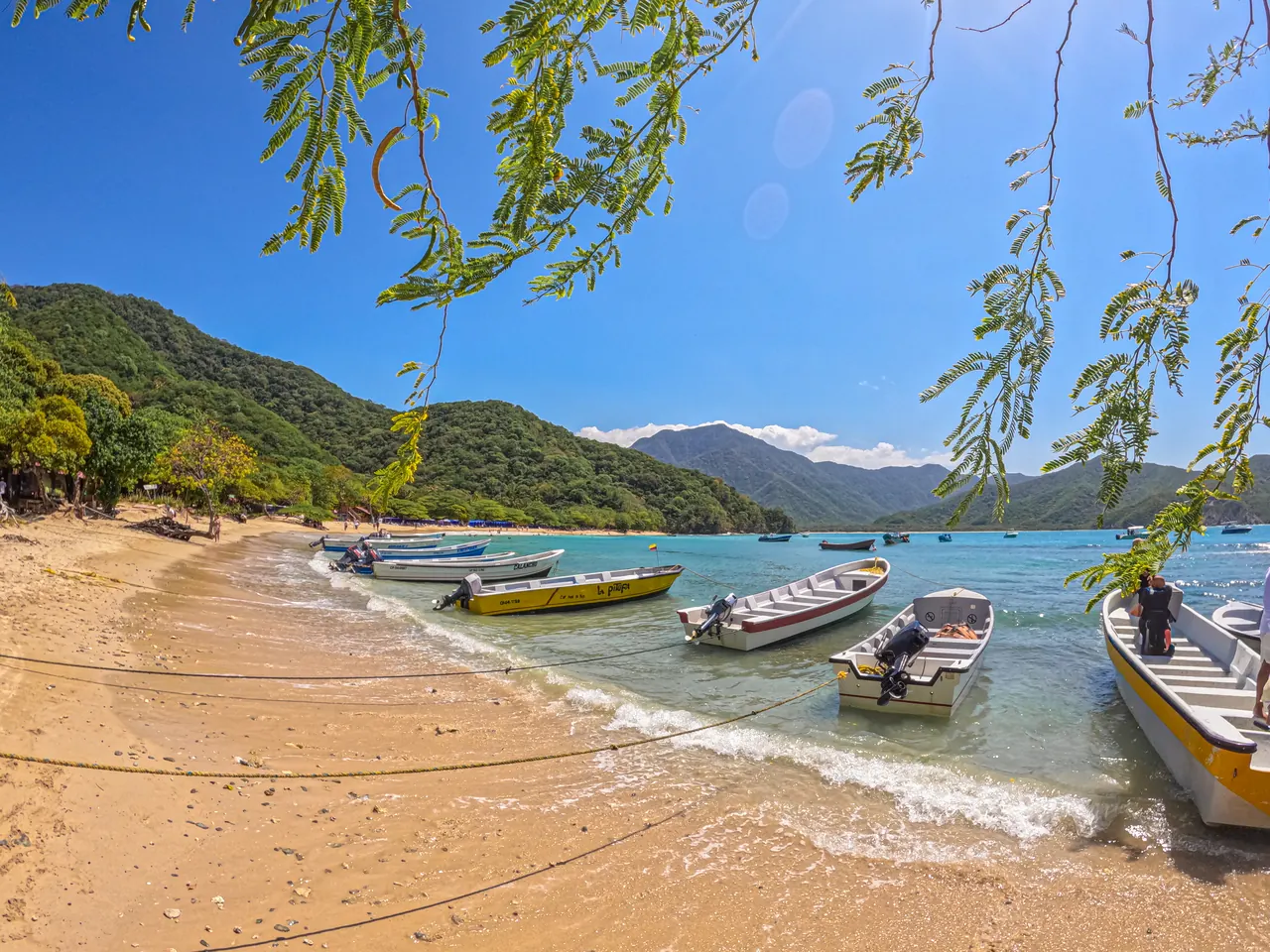 Boats on the shore at Playa Cristal, under the trees.