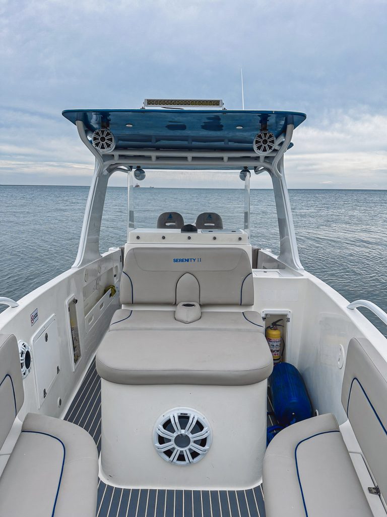Dashboard and deck of the boat.